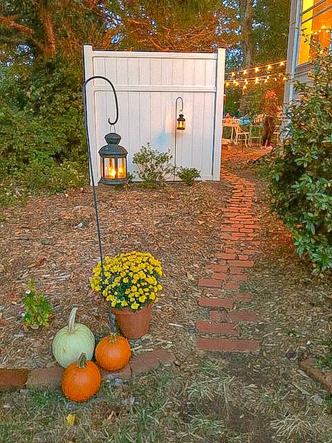 Entrance to backyard movie night-- path to backyard with lantern, mums, and pumpkins at head of path. In the distance, you can see the set up and string lights.