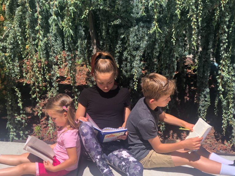 children sitting under a tree reading books